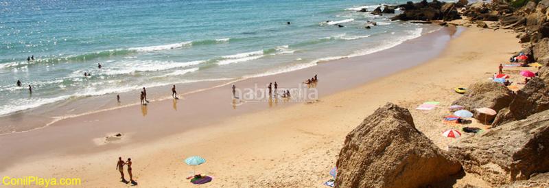 Foto f1ec2690-543b-4694-bdd9-4728f1f0fcfc. Finca rústica terrenos en venta en Roche Conil de la Frontera