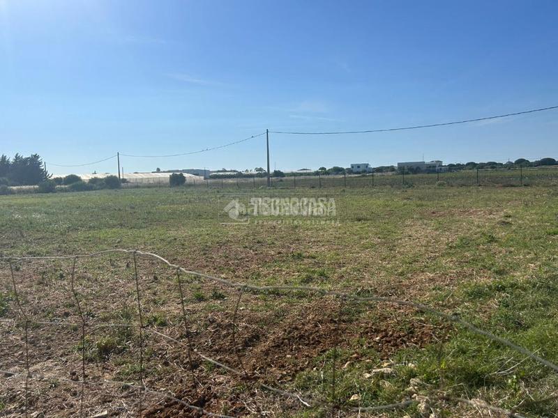 Foto fcc8bd50-7438-4929-b68f-ec3a6bc54fad. Finca rústica terrenos en venta en Roche Conil de la Frontera