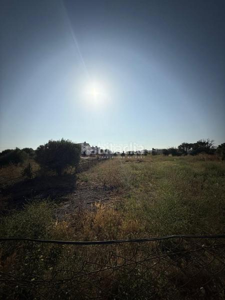 Foto 0ad03d23-8bac-4e38-b998-555cef639f66. Finca rústica a Barrio Nuevo Conil de la Frontera