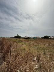 Finca rústica a Barrio Nuevo. Terrenos en venta en conil de la frontera