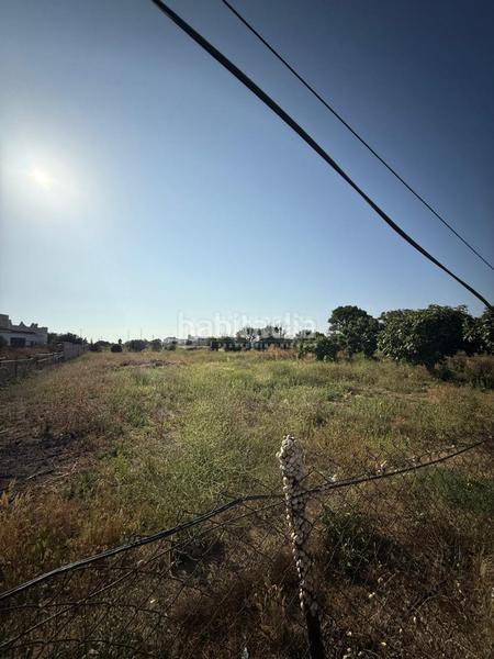Foto c88f21f2-74b6-412a-a907-ff5107a1ce59. Finca rústica a Barrio Nuevo Conil de la Frontera