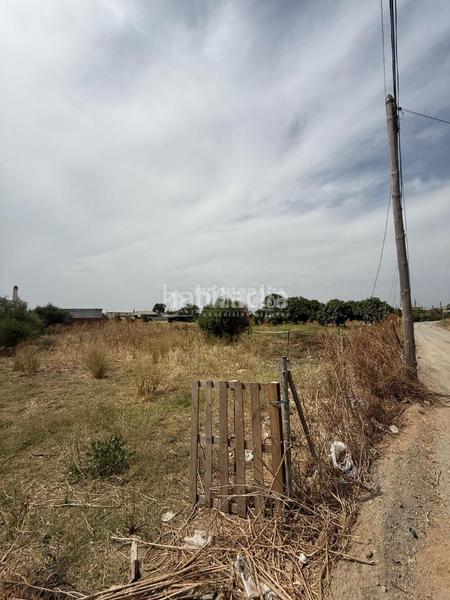 Foto d3115acb-9413-4039-92a9-ef38a916f7cb. Finca rústica a Barrio Nuevo Conil de la Frontera