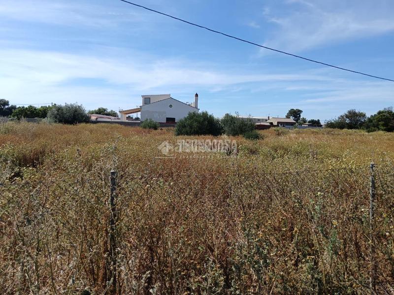 Foto e4c4001f-f4ed-4796-b719-faf0cb49acee. Finca rústica a Barrio Nuevo Conil de la Frontera