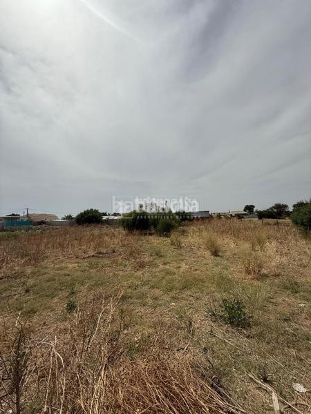 Foto f6946350-8dd2-4f36-ba04-43c3be256aec. Finca rústica a Barrio Nuevo Conil de la Frontera
