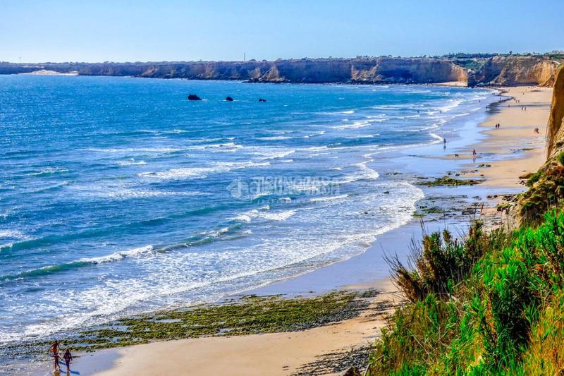 Foto 009fe2d1-d119-493e-9a24-910be3a9a798. Finca rústica a Barrio Nuevo Conil de la Frontera