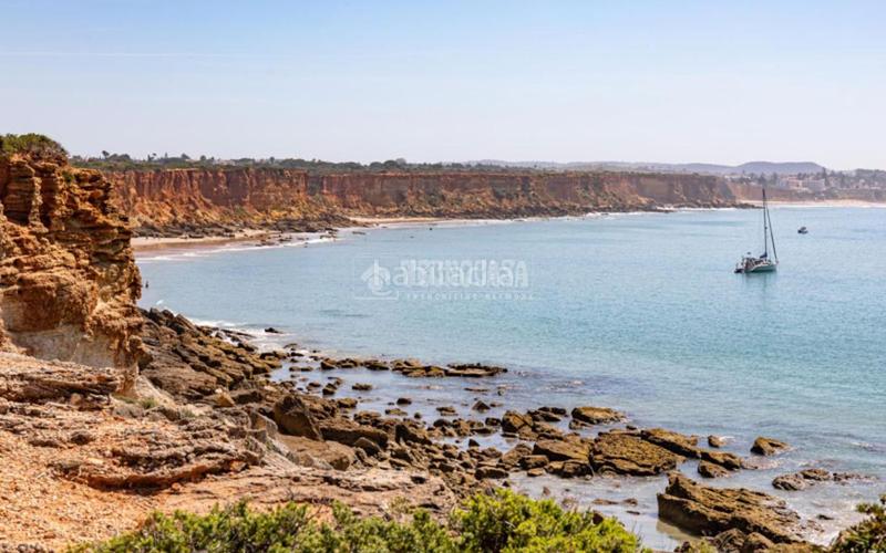 Foto 073985d8-ab7b-48b2-85e6-cb4e2b3bd19f. Finca rústica a Barrio Nuevo Conil de la Frontera