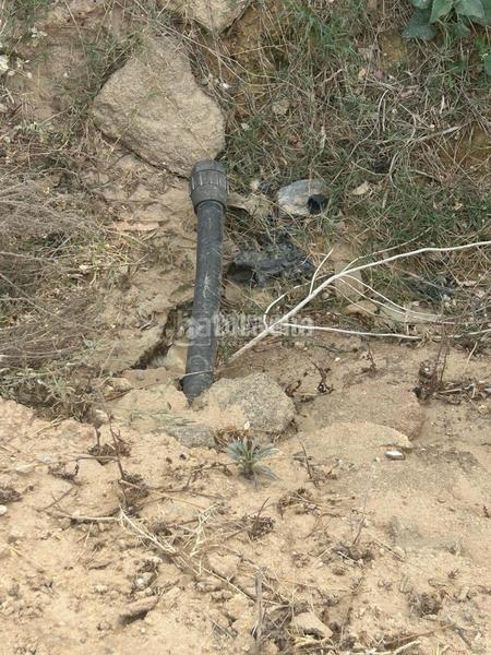 Foto 2a8a3b20-ada7-42a6-a48e-ec03071186de. Finca rústica a Barrio Nuevo Conil de la Frontera