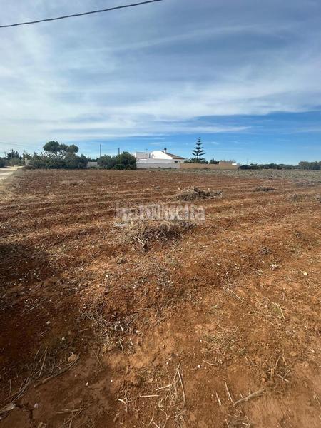 Foto 40bc1903-eda0-4d9f-8947-bdfeaf1210de. Finca rústica a Barrio Nuevo Conil de la Frontera