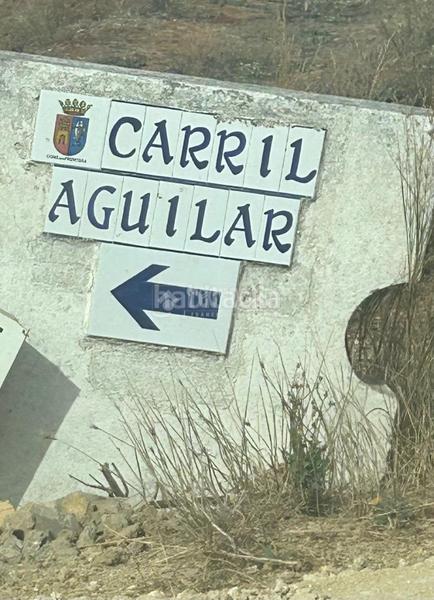 Foto 49bef237-9140-42e8-a803-05a393eb7293. Finca rústica a Barrio Nuevo Conil de la Frontera