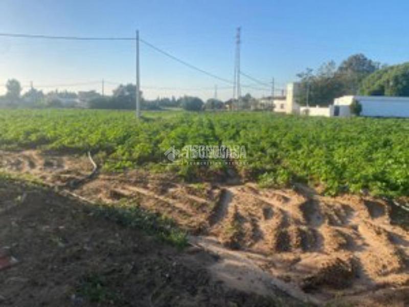 Foto 5445028d-185c-4ce7-9550-2f4cc1f57776. Finca rústica a Barrio Nuevo Conil de la Frontera