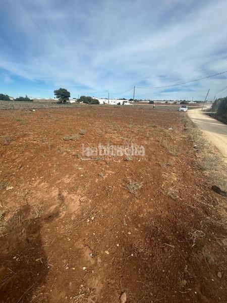 Foto 544b0abf-0791-48c3-bd86-530e578ea842. Finca rústica a Barrio Nuevo Conil de la Frontera