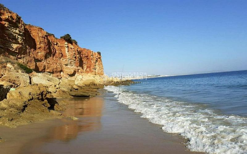 Foto 5a6f6101-56e6-40ee-9a33-5c838200e32b. Finca rústica a Barrio Nuevo Conil de la Frontera