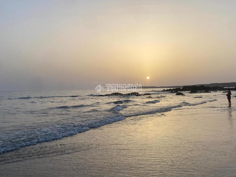 Foto 6de16935-3907-4140-ace0-2e8a23804d72. Finca rústica a Barrio Nuevo Conil de la Frontera