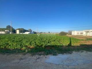Finca rústica en Barrio Nuevo. Terrenos en venta en conil de la frontera