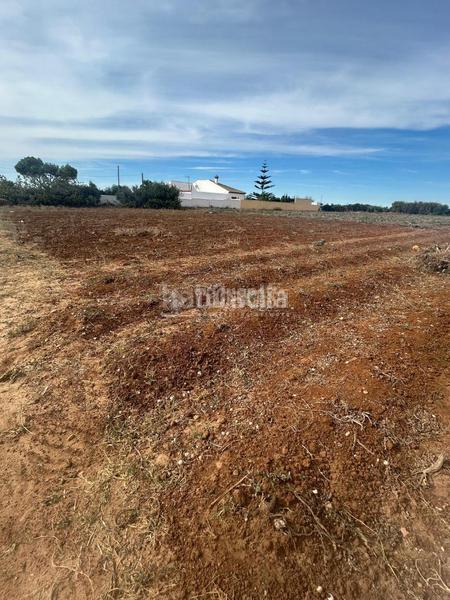 Foto 850f0119-83ee-4e11-be1c-5f64eb12881d. Finca rústica a Barrio Nuevo Conil de la Frontera