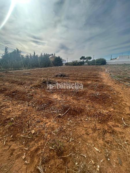 Foto 96518083-85b2-4059-b8f2-8cff5000e25b. Finca rústica a Barrio Nuevo Conil de la Frontera