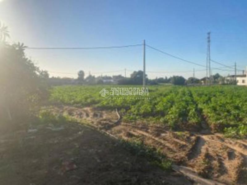 Foto e3229f3a-7c1f-4a09-b011-95529a904d76. Finca rústica a Barrio Nuevo Conil de la Frontera