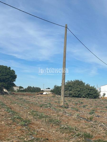 Foto ee7ae071-75ae-491f-b191-d1fb46ba9b3a. Finca rústica a Barrio Nuevo Conil de la Frontera