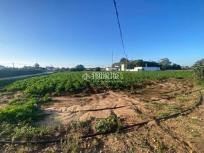Foto f901bed2-0c24-4693-b616-621f1d95470c. Finca rústica a Barrio Nuevo Conil de la Frontera