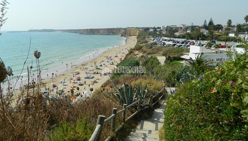 Foto ff820d7e-5a07-4399-b86a-44b28dd66d45. Finca rústica a Barrio Nuevo Conil de la Frontera