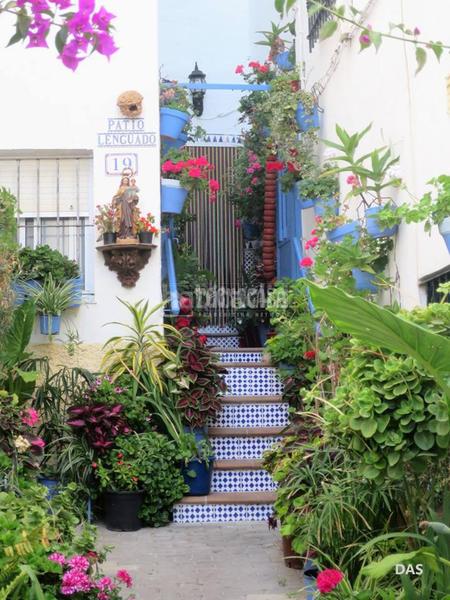 Foto d5d6364f-8002-4228-b66c-42143f537538. Appartamento con riscaldamento in Conil Conil de la Frontera