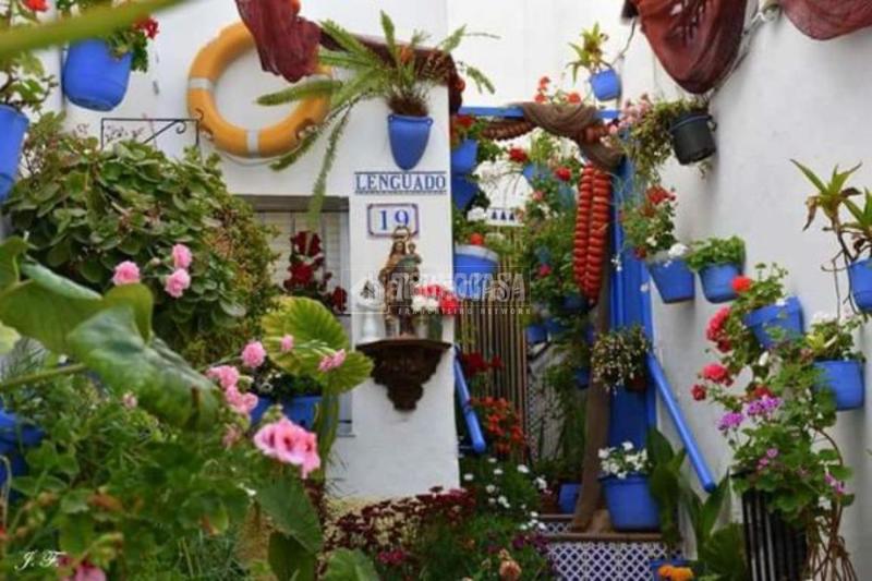 Foto 0e73f449-f5cd-49f7-918c-28d4695ab893. Etagenwohnung mit heizung pool in Conil Conil de la Frontera