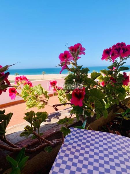 Foto ecc25644-2ea9-4b0f-8299-82b4c70b29ce. Àtic amb calefacció a Conil Conil de la Frontera