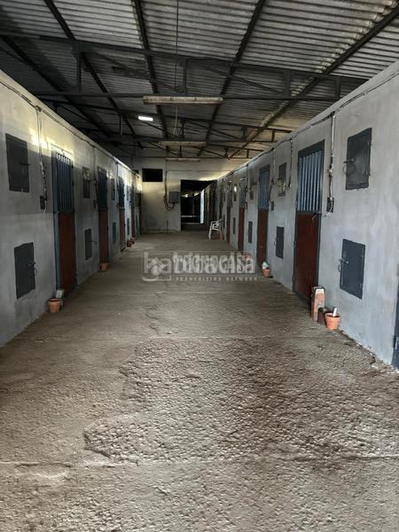 Foto 18e4a140-f16b-412f-934f-0febe0d1e517. Masia amb piscina a Valdezorras - El Gordillo Sevilla