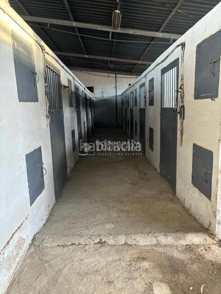 Foto 964c0141-9481-4362-b787-8d6b4579e356. Masia amb piscina a Valdezorras - El Gordillo Sevilla