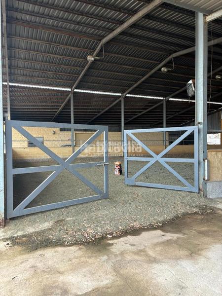 Foto 9f5f05e7-f8e4-42fc-9bef-d19f0b790f39. Masia amb piscina a Valdezorras - El Gordillo Sevilla