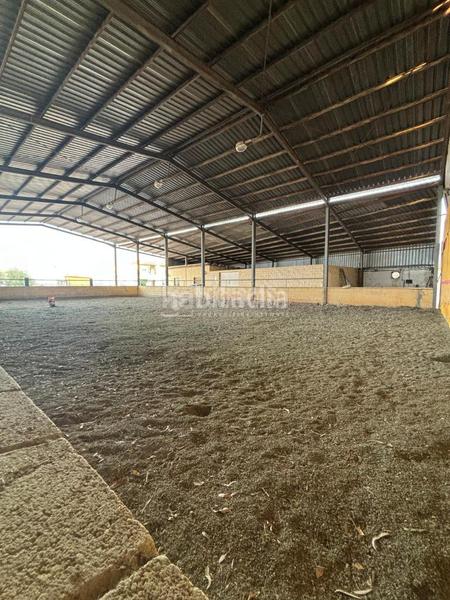 Foto ba6b0ebb-5978-47af-aae4-7f182ce3071c. Masia amb piscina a Valdezorras - El Gordillo Sevilla