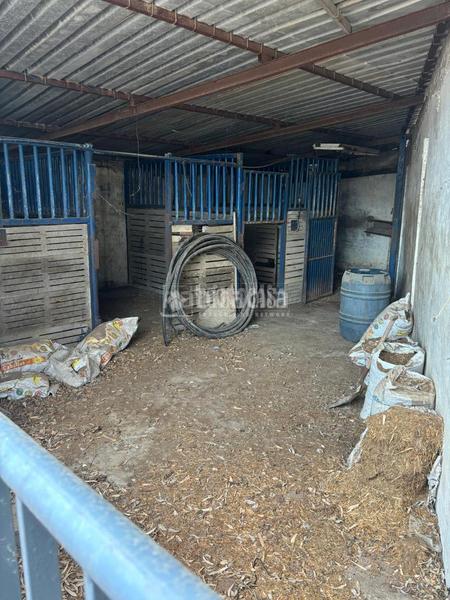 Foto f24ff1e1-f1c6-4178-85c3-97ee4de16a3d. Masia amb piscina a Valdezorras - El Gordillo Sevilla