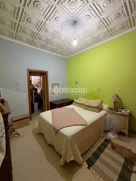 Foto 40715cc0-c2f9-4309-954c-c4e9cd8b80f1. Pis a Torreblanca Sevilla