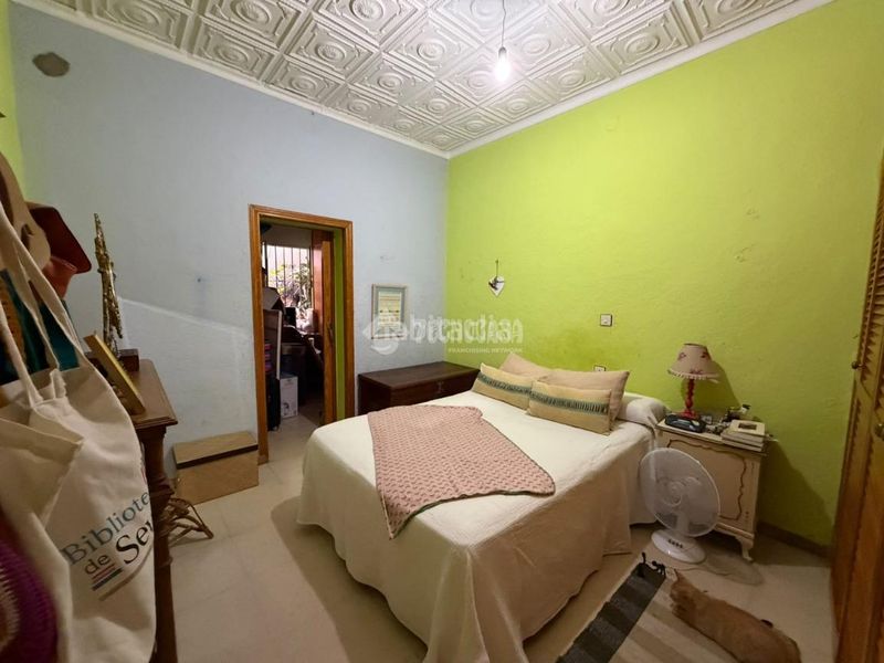 Foto ac9aa9b2-5eda-4359-9433-4bb1b16c1838. Pis a Torreblanca Sevilla