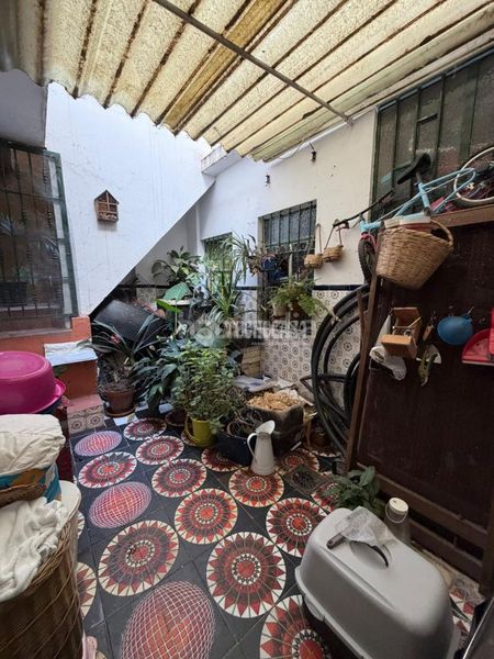 Foto c0ebf74d-dcde-4bd7-833a-204c6724a388. Pis a Torreblanca Sevilla