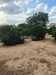 Masia a Coronil (El). Casa rural en venta en arahal