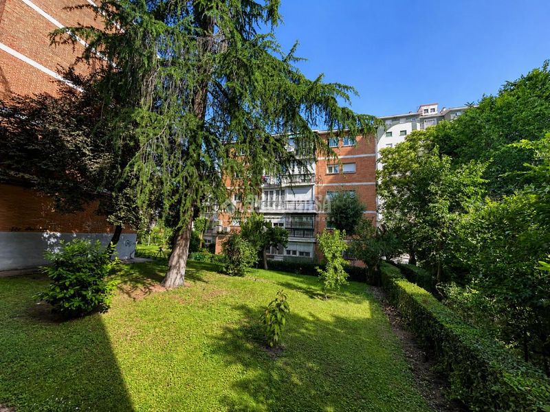 Foto ea0a3d34-dad1-4735-a033-95cf9a4f9096. Pis a Aluche Madrid