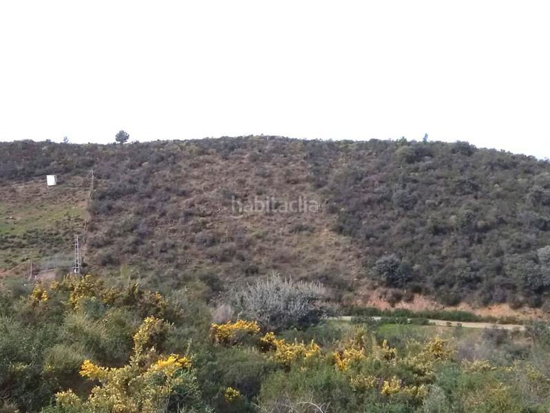 Foto ac4b4bfb-eeae-418d-92cf-0d4b58c1531f. Wohngrundstück in Monda