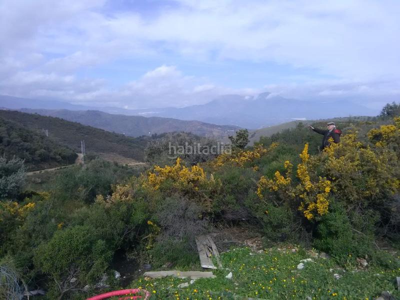 Foto 29be77e3-73d6-4d75-87c8-28e15b6e378a. Terreno residencial solar en venta . en Monda