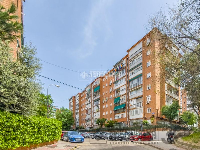 Foto d3b09633-27ea-47b6-8119-b807ae785ffb. Pis a San Pascual Madrid