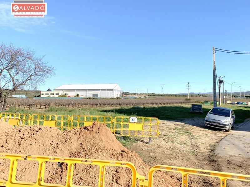 Foto af1efda5-1832-4e4c-ba87-cc238c1a6fe4. Terreny residencial a Banyeres del Penedès