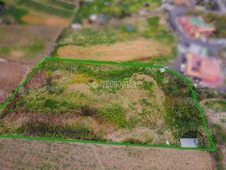 Finca rústica en La Perdoma - San Antonio - Benijos. Terrenos en venta en la orotava