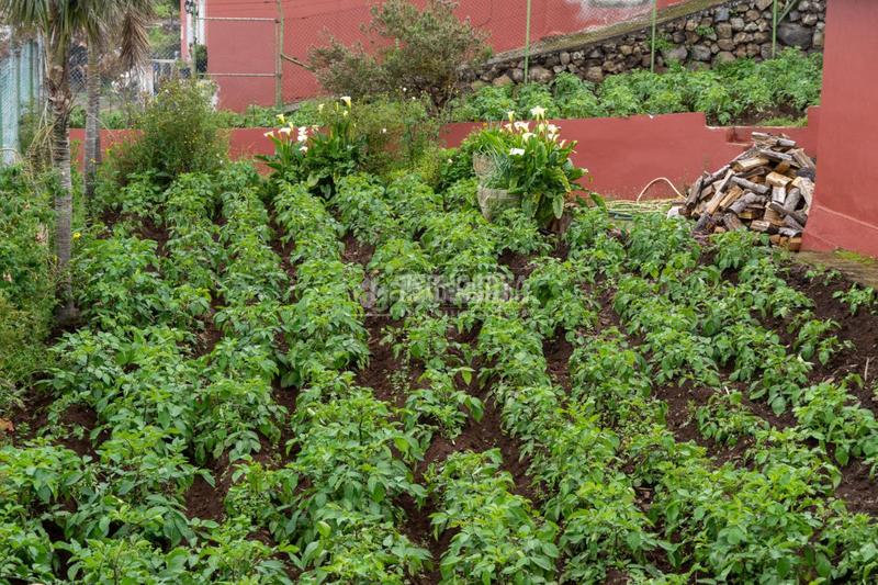 Foto f6b90651-491c-4272-9d61-ddeb0c533e11. Casa  en venta en la orotava en El Bebedero - Pinolere - Aguamansa Orotava (La)