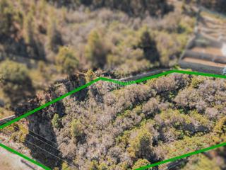 Finca rústica a La Vega - El Amparo - Cueva del Viento. Terrenos en venta en icod de los vinos