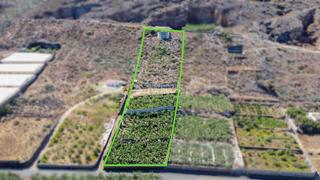 Finca rústica a Buenavista. Terrenos en venta en buenavista