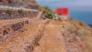 Finca rústica en La Vega - El Amparo - Cueva del Viento. Terrenos en venta en icod de los vinos