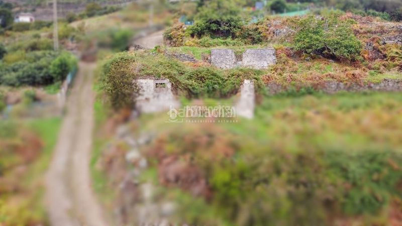 Foto 376157c1-f9f1-4006-a0a6-86eb23357924. Finca rústica a La Perdoma - San Antonio - Benijos Orotava (La)