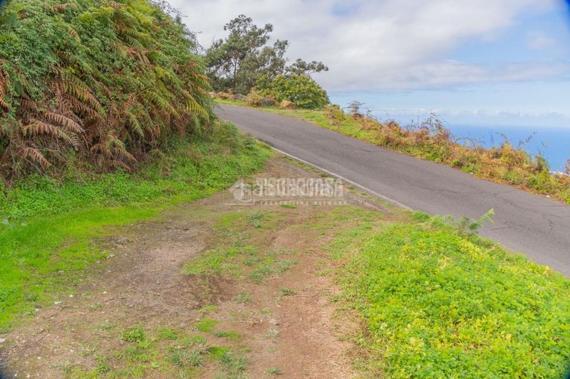 Foto 45e3da55-700f-4ba8-b35d-f0dae9631c72. Finca rústica a La Perdoma - San Antonio - Benijos Orotava (La)