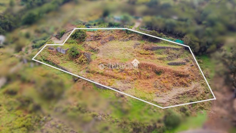 Foto bbcaa6d0-e7ff-47e6-919c-9829da41c133. Finca rústica a La Perdoma - San Antonio - Benijos Orotava (La)