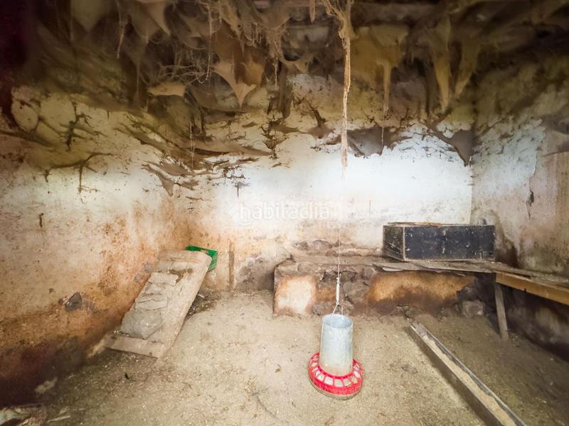 Foto 7e006f6d-f816-4da3-9b09-e8d04acecdbc. Finca rústica a El Bebedero - Pinolere - Aguamansa Orotava (La)